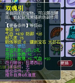 530069WZ
