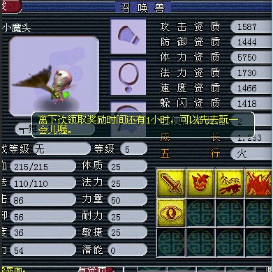 530069WZ