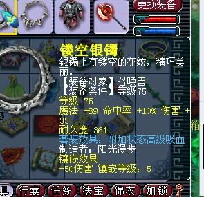 530069WZ