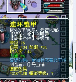 530069WZ