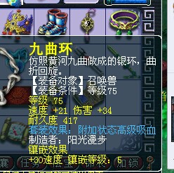 530069WZ