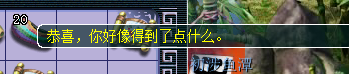 ֱ屦