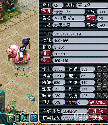 490069DT