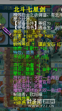 490069DT