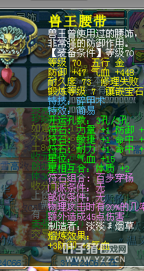490069DT