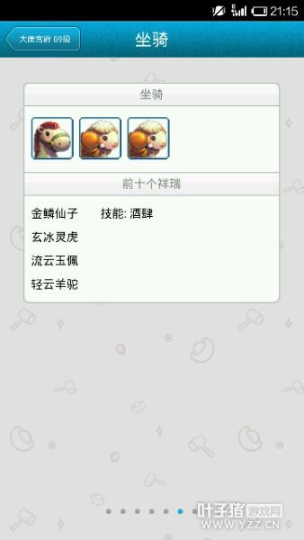 490069DT
