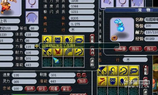直播打个8技能狂豹