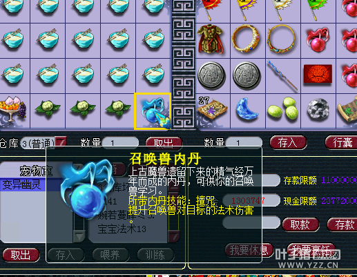 2899Rֱ109WZ