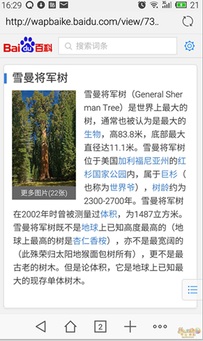 带着梦幻看世界