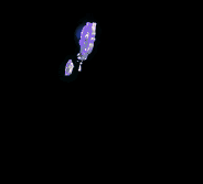 㼣ٻƷ