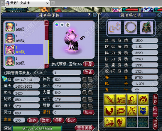 һDTչʾ