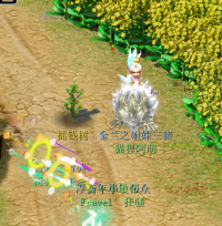 ��¼������