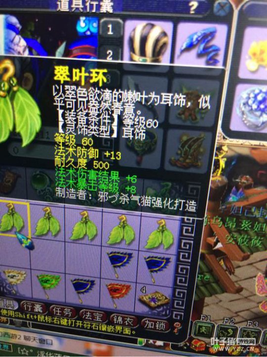 记录鉴定灵饰