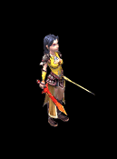 ��ɫ����