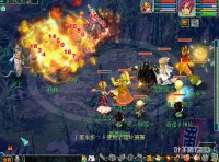 ���巨ϵ��ľ