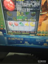 ֱ����������