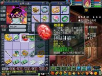 ֱ���������