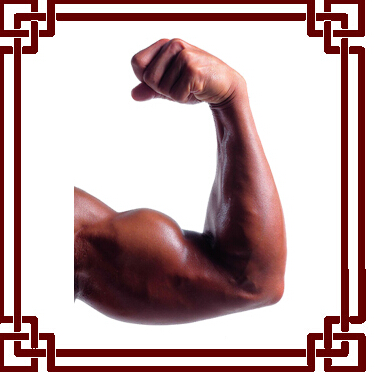 召唤兽技能