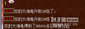 直播大海龟炼妖