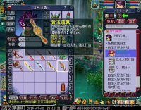 ֱ��װ������