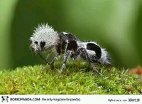 ֱ�������յ����