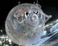 ֱ�������յ����