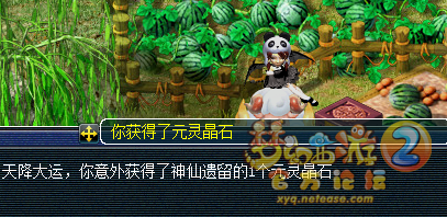 直播玲珑宝图