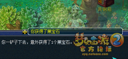 直播玲珑宝图