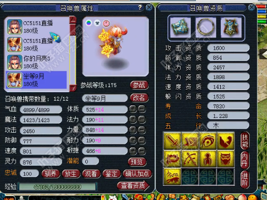 小梅沙属性曝光