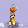 萌芽发卡锦衣