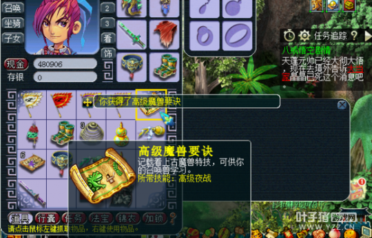 ֱ85޾