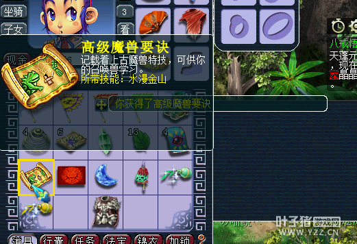 ֱ85޾