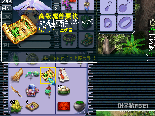 ֱ85޾