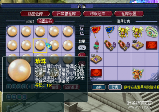 12Wֱ109DT