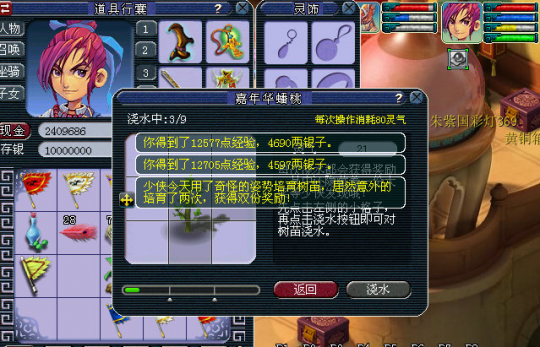 嘉年华日常活动