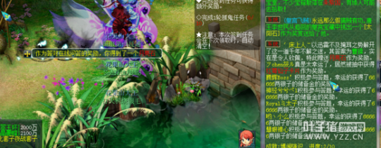 最赚钱的直播