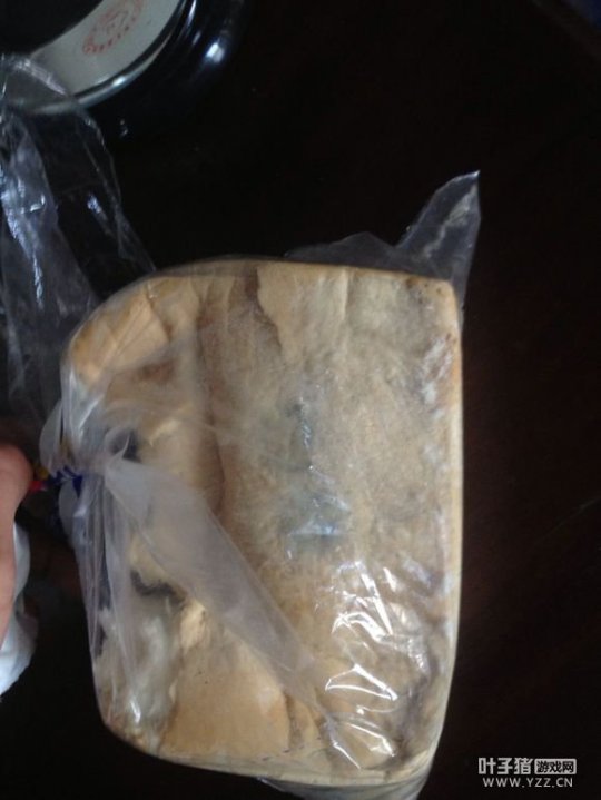 梦幻玩家的非洲生活