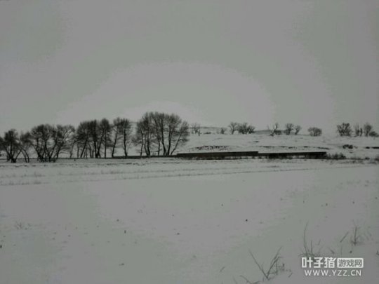 油建工人爱玩梦幻