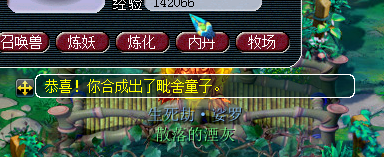 自合自打宝宝