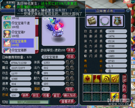 直播取个175PT