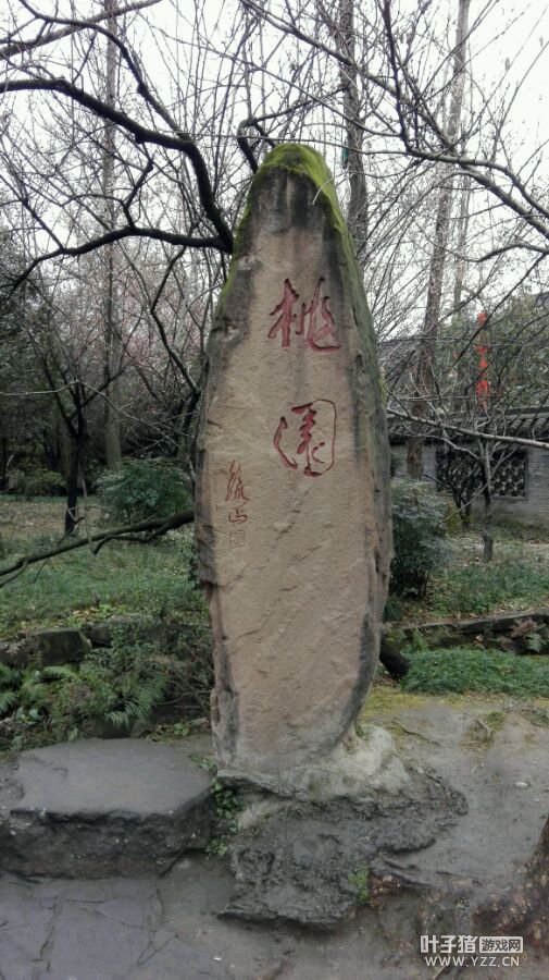 详情