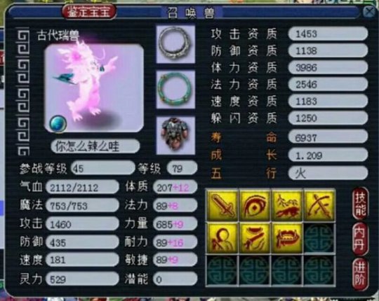 展示