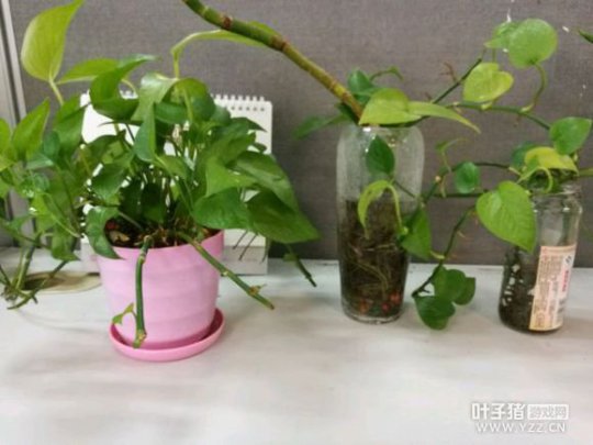 忪ֱ