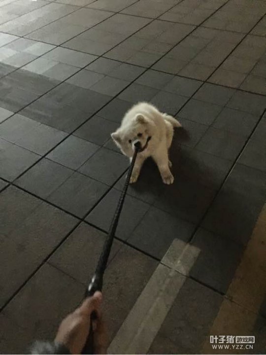 忪ֱ