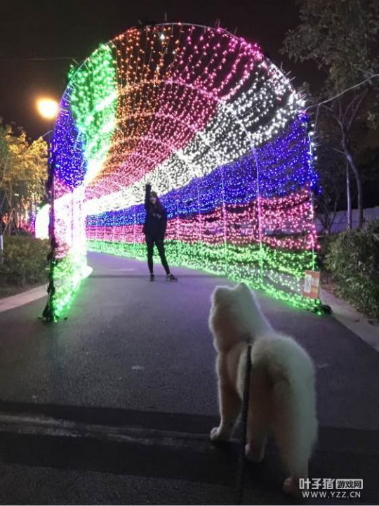 忪ֱ