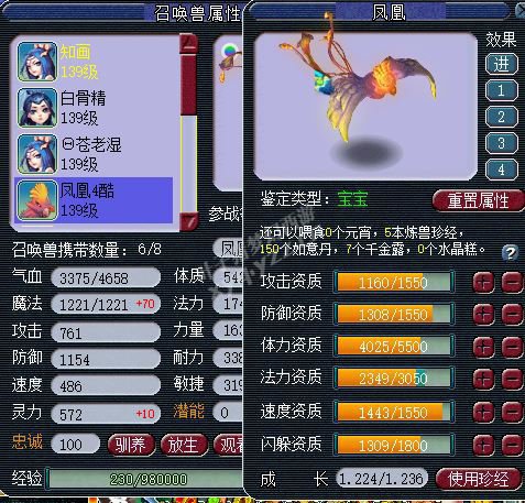 详情