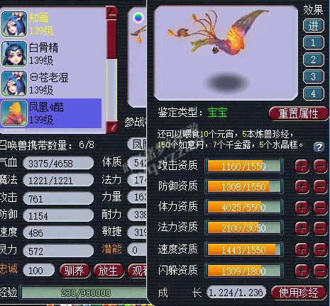 详情