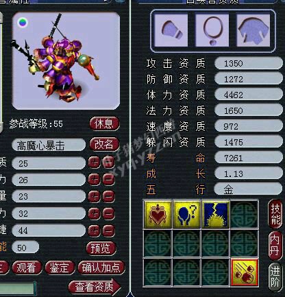 全新组合直播