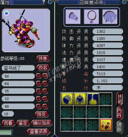 全新组合直播