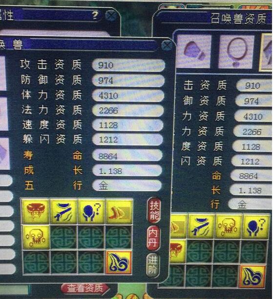 打书直播